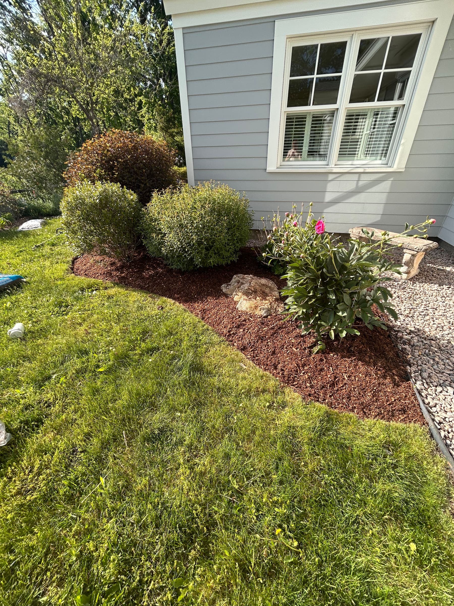 Crisp mulch bed with rounded shrubs edged tight against a green lawn at a Connecticut home