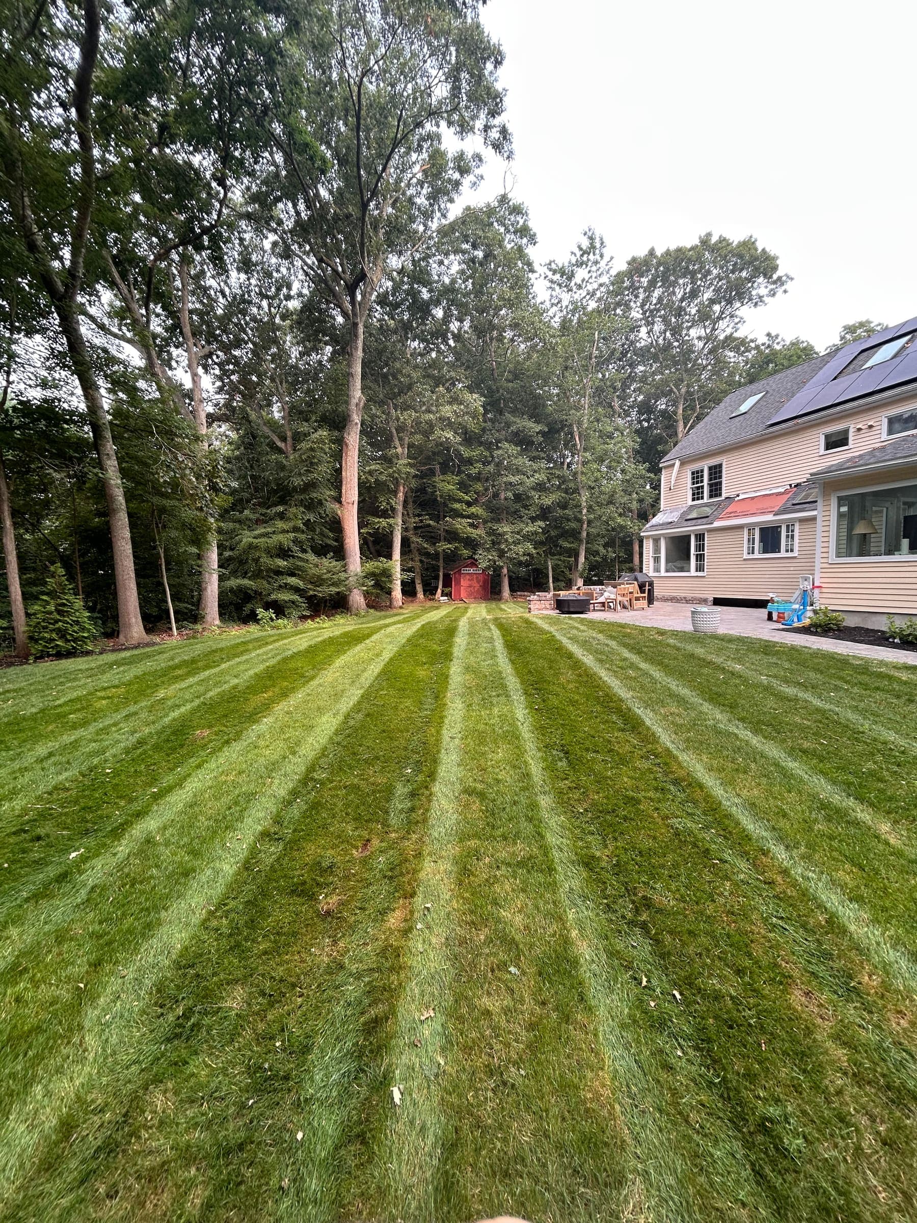 Thick striped backyard lawn running up to a Madison, CT home after mowing